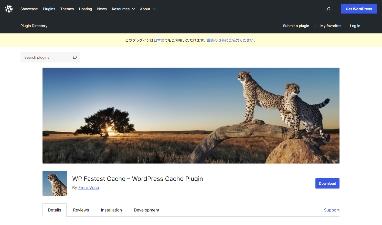 WP Fastest Cache